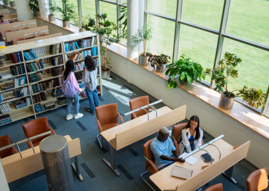 Schools & Educational Institutions