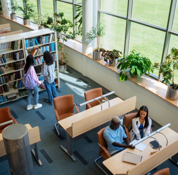 Schools & Educational Institutions